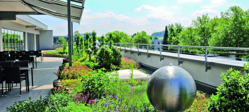 Große Terrasse mit Pflanzen und Sitzmöglichkeiten