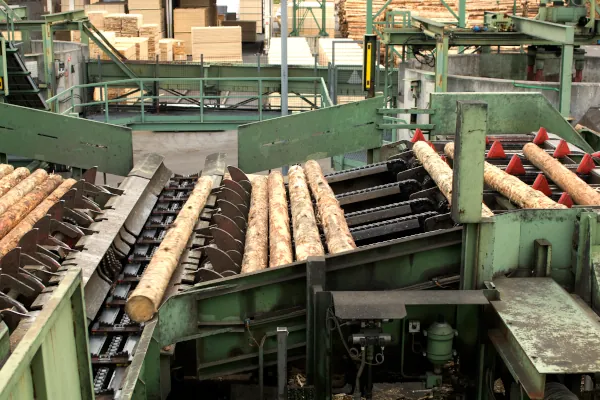 Baumverarbeitungsfabrik mit Baumstämmen auf einem Förderband