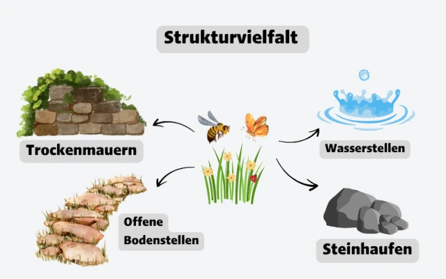 Skizze über Strukturenvielfalt in 4 kategorien aufgeteilt: Trockenmauern, offene Bodenstellen, Wasserstellen und Steinhaufen