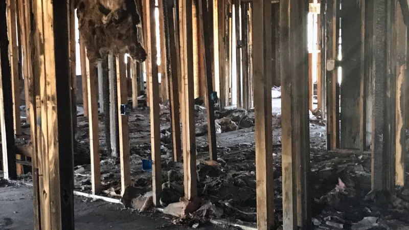 Holzrahmenbau-Wände nach einem Brand. Die verkohlten Außenseiten haben die Balken vor weiteren Schäden geschützt.
