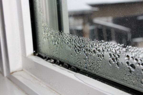 Fenster mit Schimmelspuren