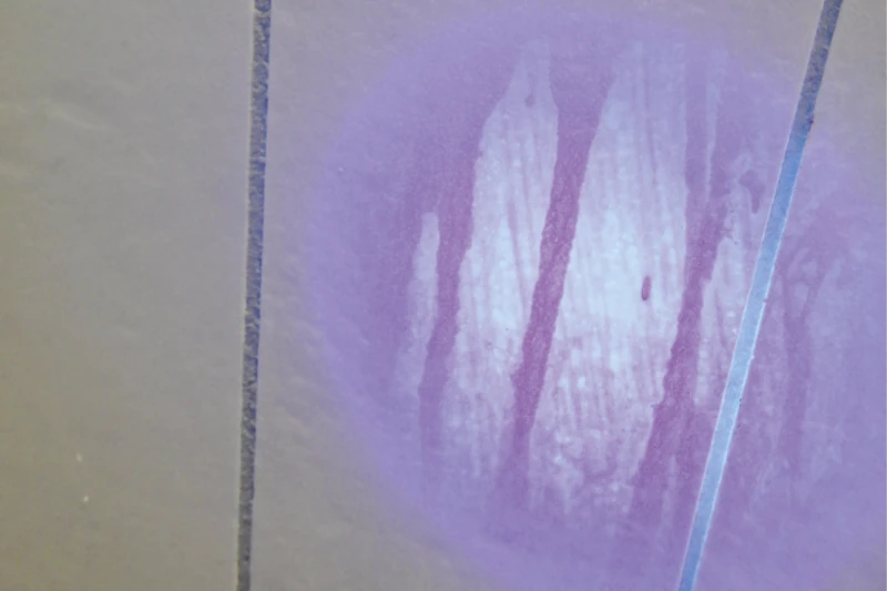Feuchtigkeitsschaden auf Wand durch Farbreaktion sichtbar gemacht zur Analyse.