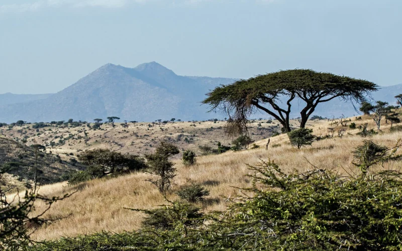 afrikanische Landschaft