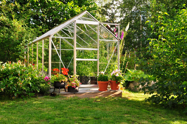 Gewächshaus im Garten inmitten von Bäumen und Sträuchern
