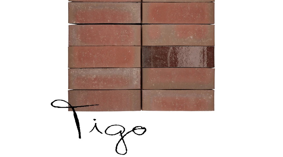 Wienerberger Ziegelsteine Tigo