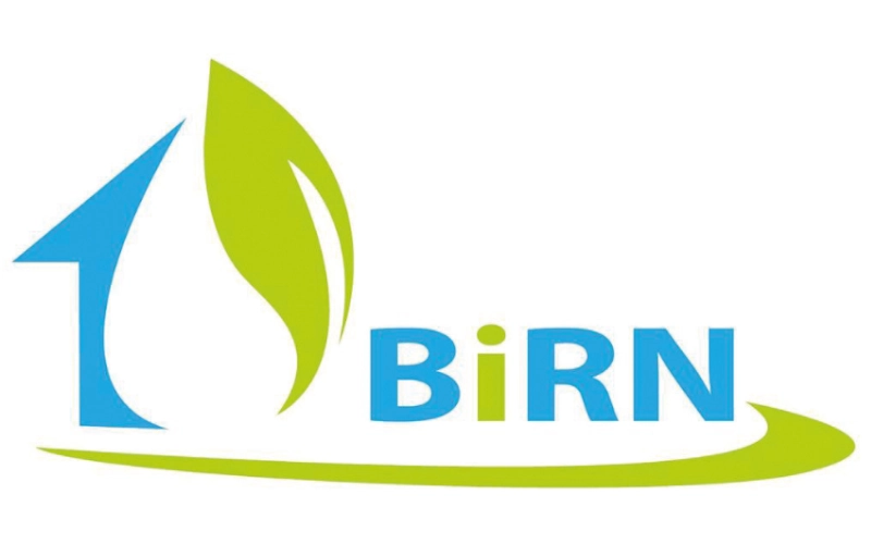 Logo BiRN