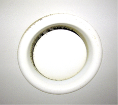 Schimmelspur an der Decke