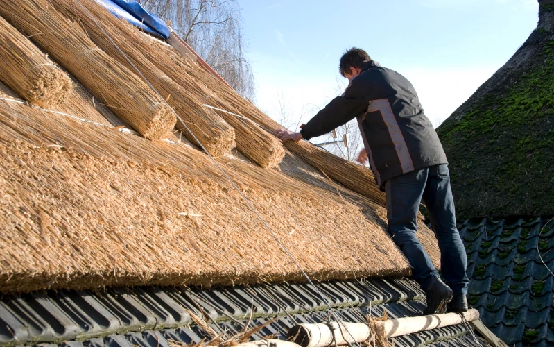 Mit Reet wird ein Dach verkleidet