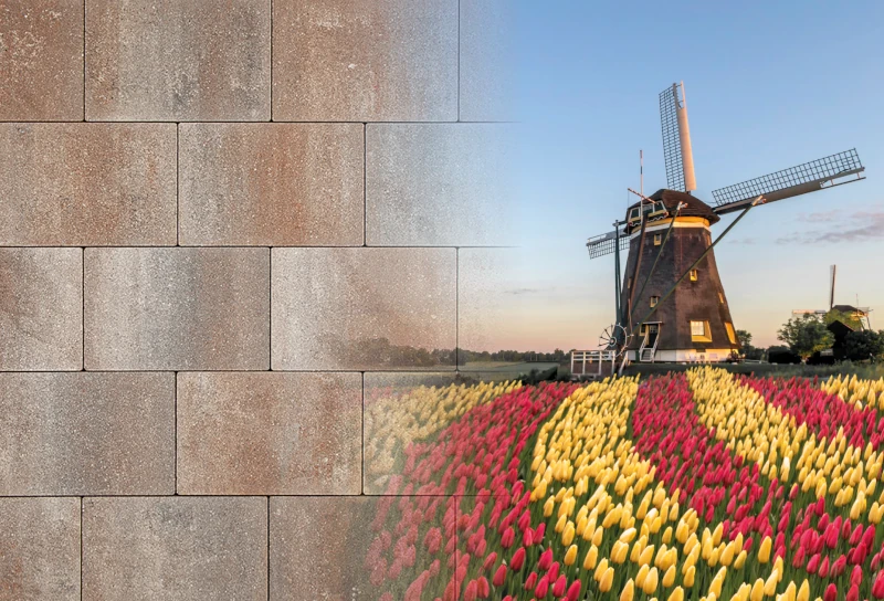 bräunliche Terrassenplatten neben einer Mühle mit Blumenfeld aus gelben und roten Tulpen