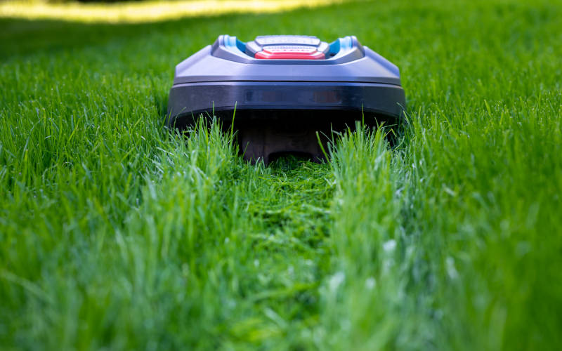 Rasenmäher-Roboter mäht Rasen im Garten