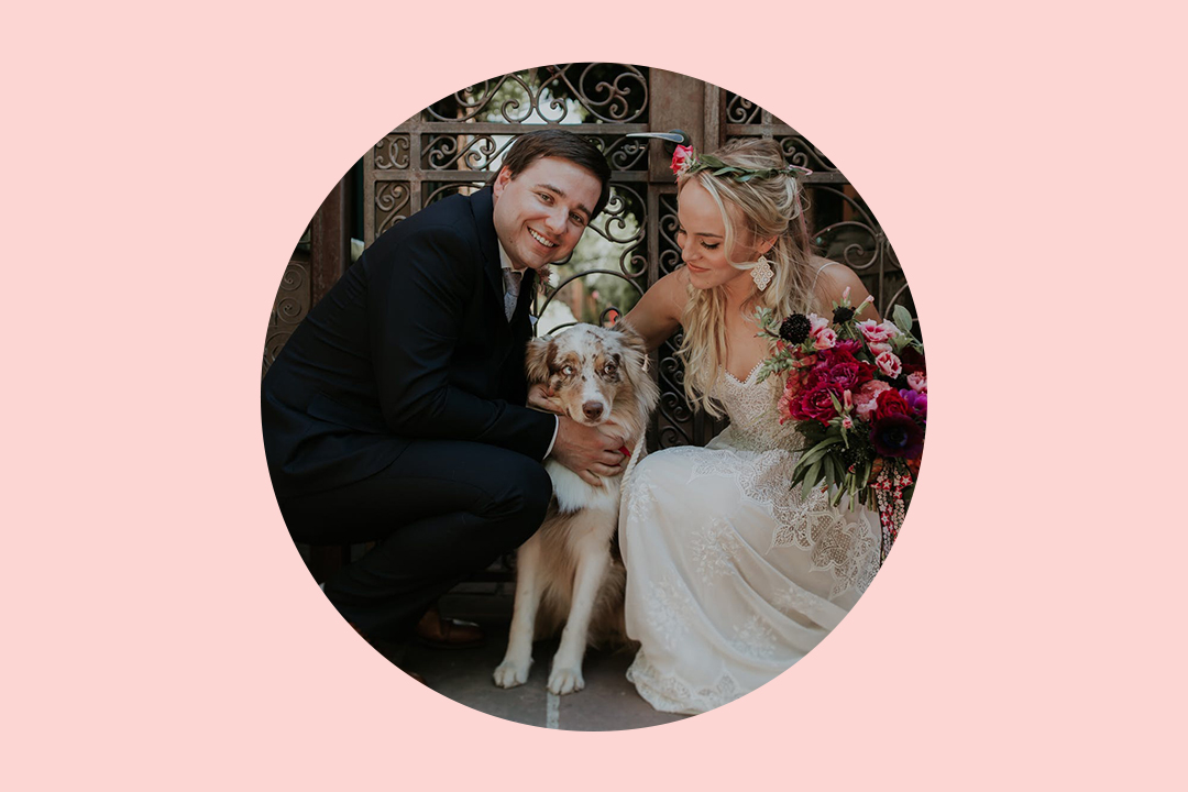 Best Dog Wedding Ideas