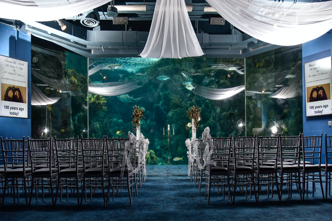 How to Create an Under the Sea Wedding Theme
