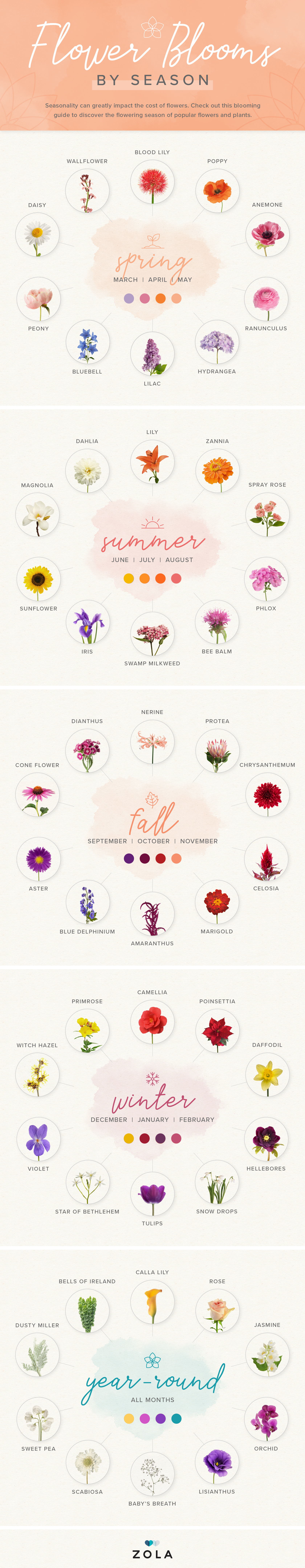 flower-compendium chart