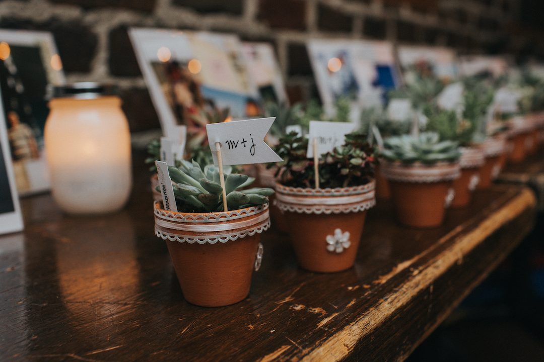What are the best plant wedding favors?