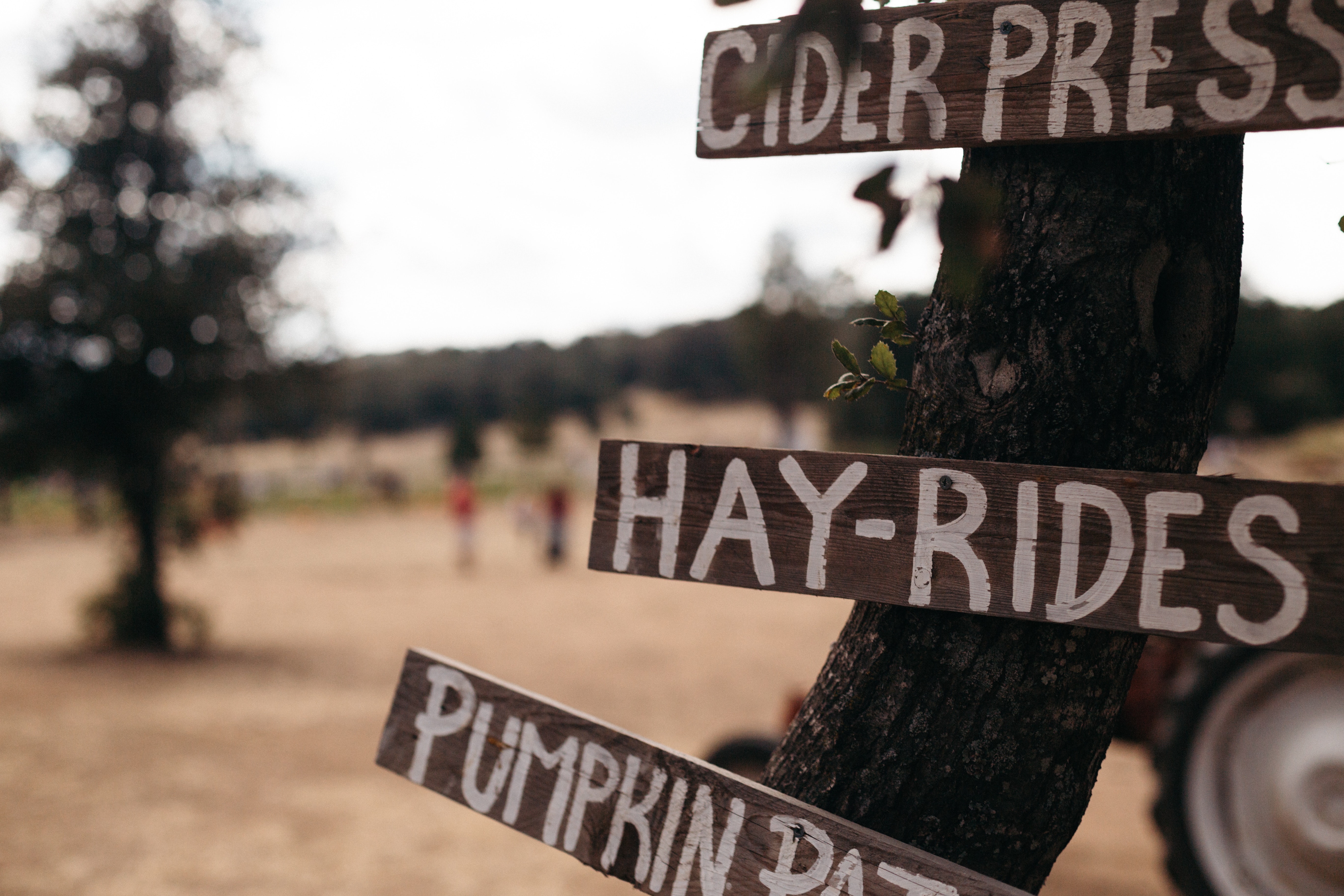 Exit on a Hayride