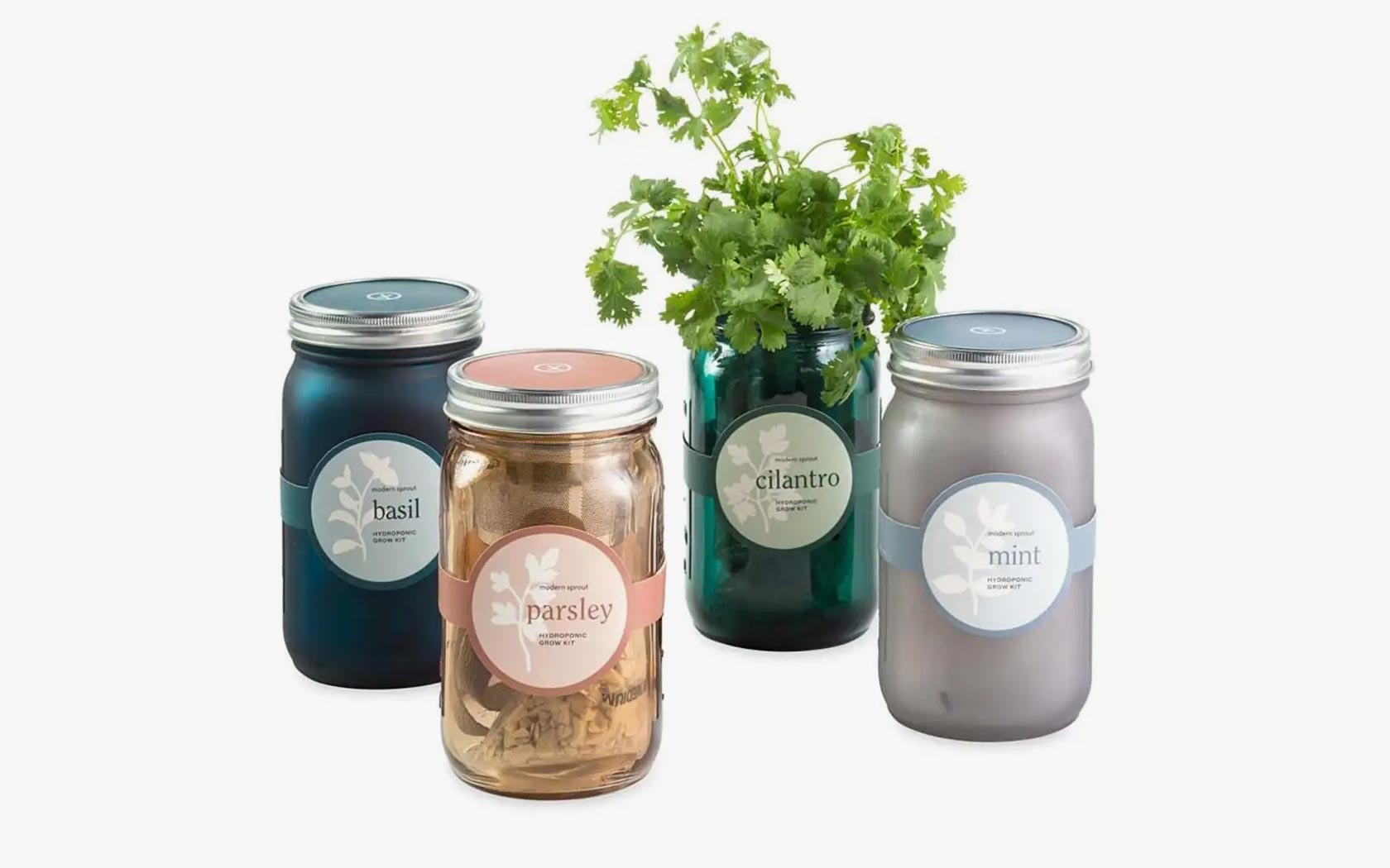 herb-jar-growing-kits