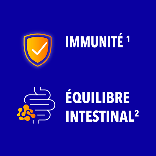 Immunité, équlibre intestinal