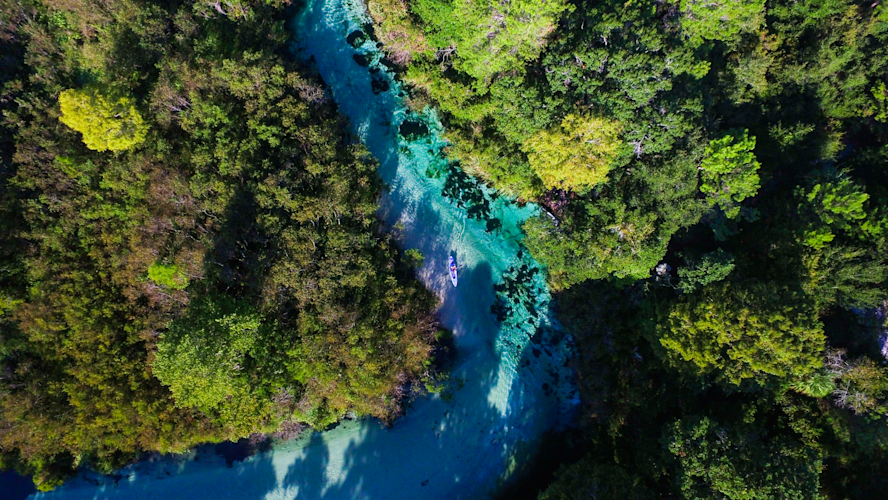 Weeki Wachee (1)