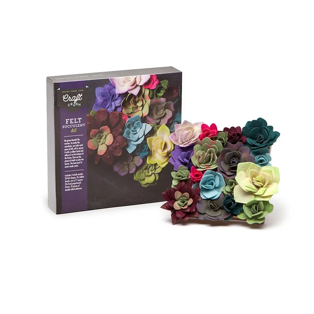 AC1604 Felt Succulents Kit 4