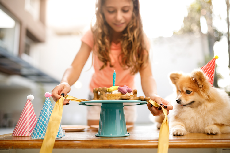 dog birthday party