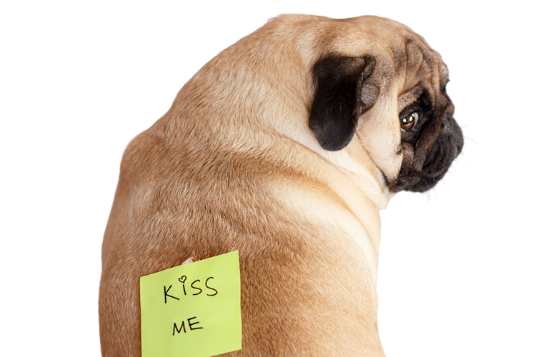 kissme