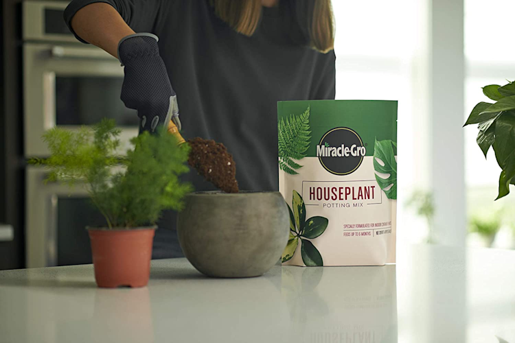 Scotts Miracle-Gro