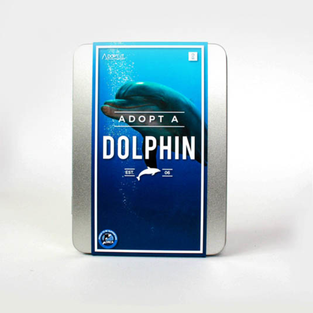 dolphin-main