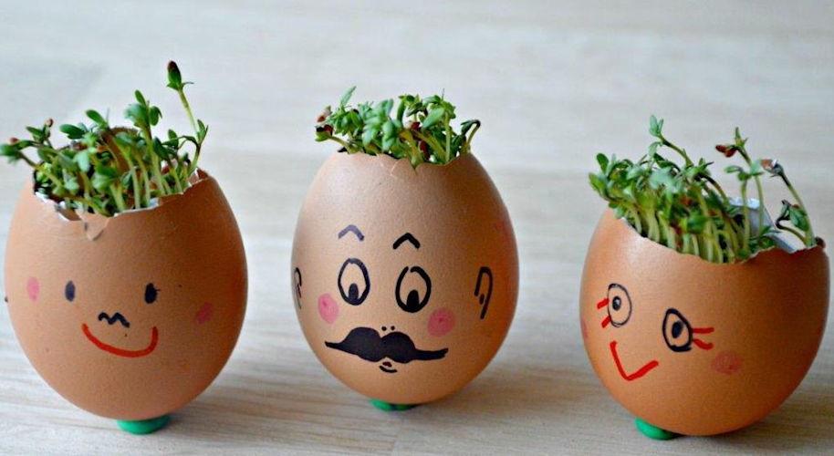 Cress Heads Craft