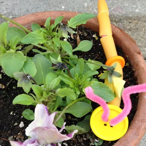 pipe-cleaner-button-caterpillars copy