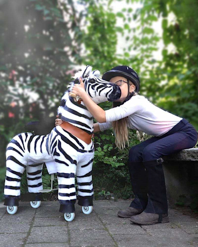 Pony Cycle U-Series Zebra