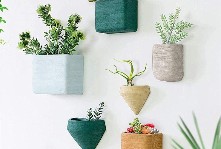 Ecosides