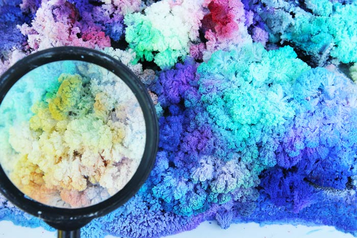 Science-for-Kids-DIY-Crystal-landscapes-day-5-explore3