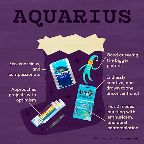 Insta StockingStuffer ZodiacSigns11AQUARIUS