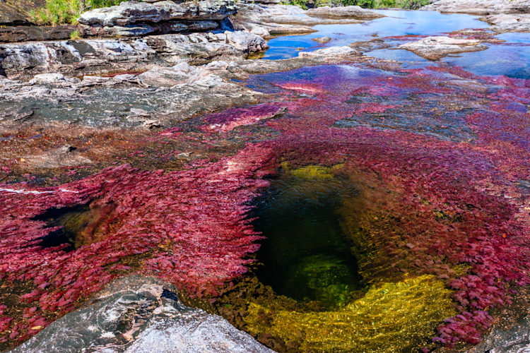 Rainbow River, Colombia