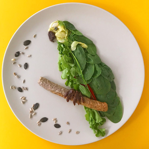 Green Parrot Salad