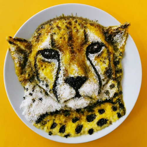 Cheetah Sholezard
