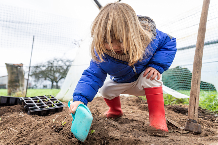 Winter gardening