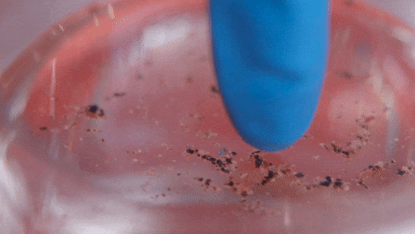 pepperscattering