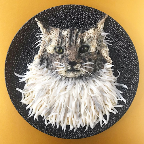 Rice Noodle Kitty Cat