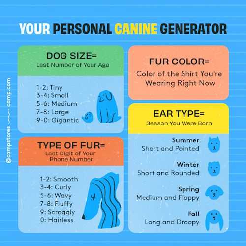 Personal Canine Creator