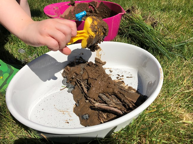 Beaver-Dam-building-up-the-dam