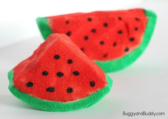 watermelon squishy