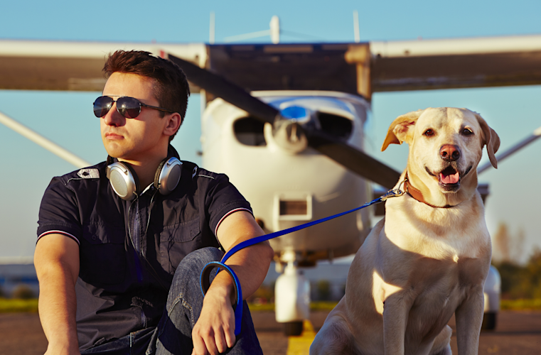 Runway Wildlife Control