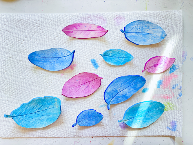 Clay Leaf Impressions