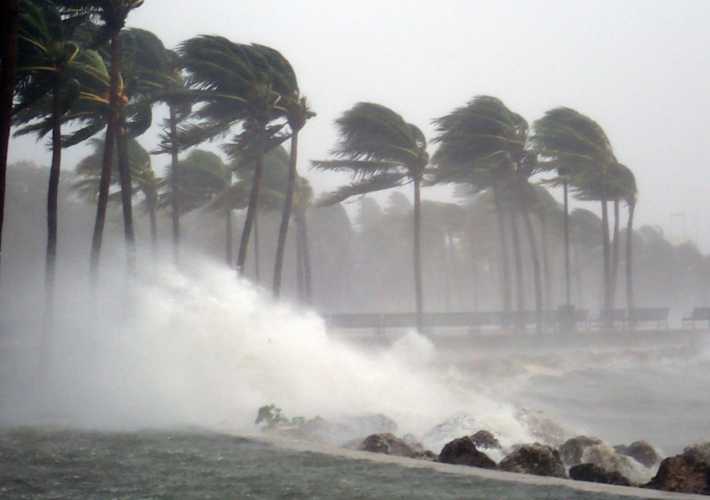 interactive storm tracker