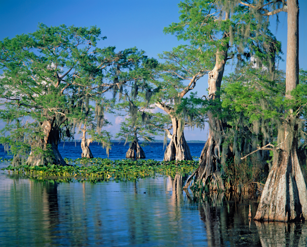 Lake Istokpoga