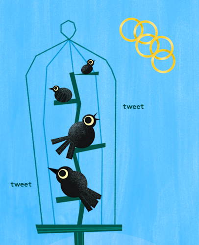 rings and colly birds