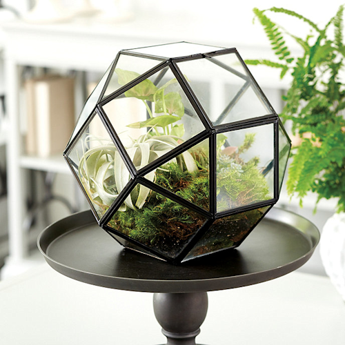 Geo Terrarium Ballard Designs