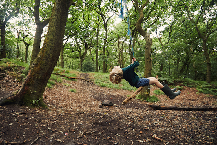 Tree Swing