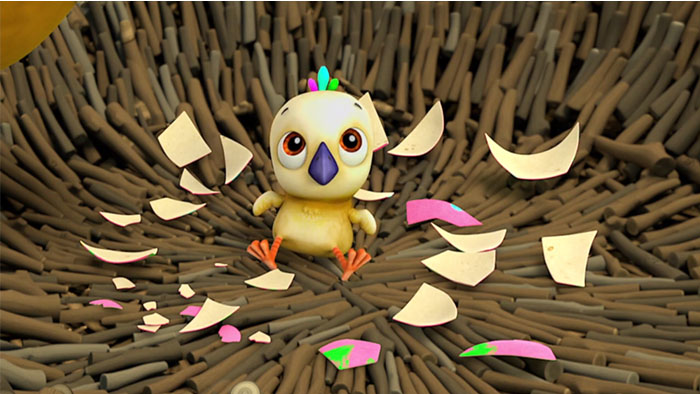 0000 Birds